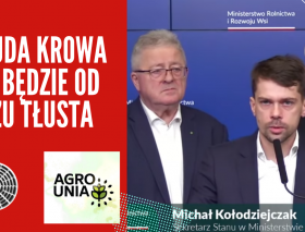 Chuda krowa nie będzie od razu tłusta